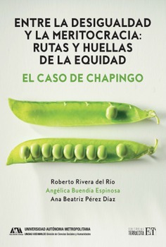 Entre la desigualdad y la meritocracia: rutas y huellas de la equidad